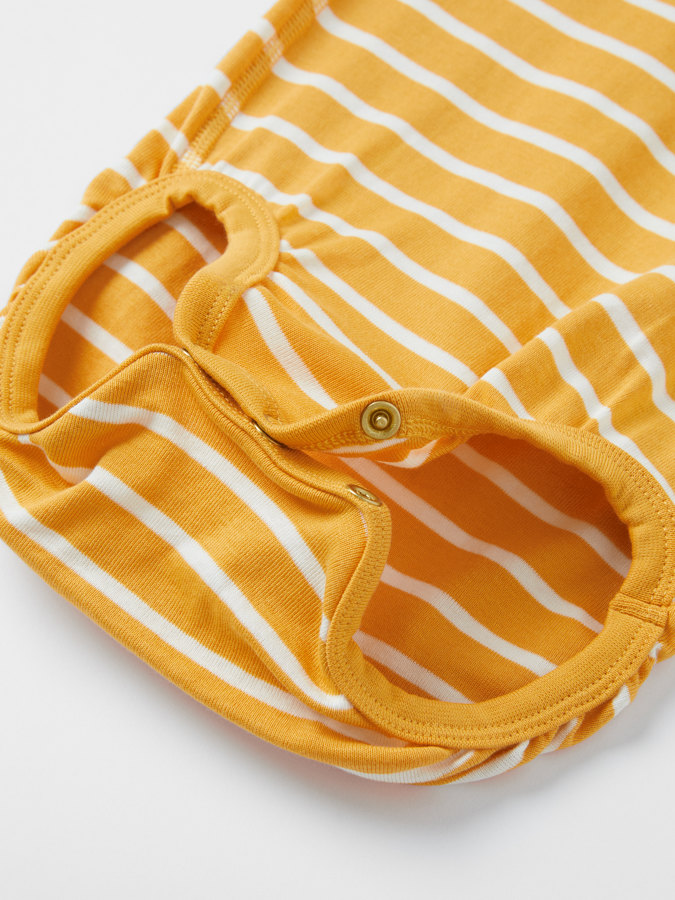 Body Seasonal Stripe