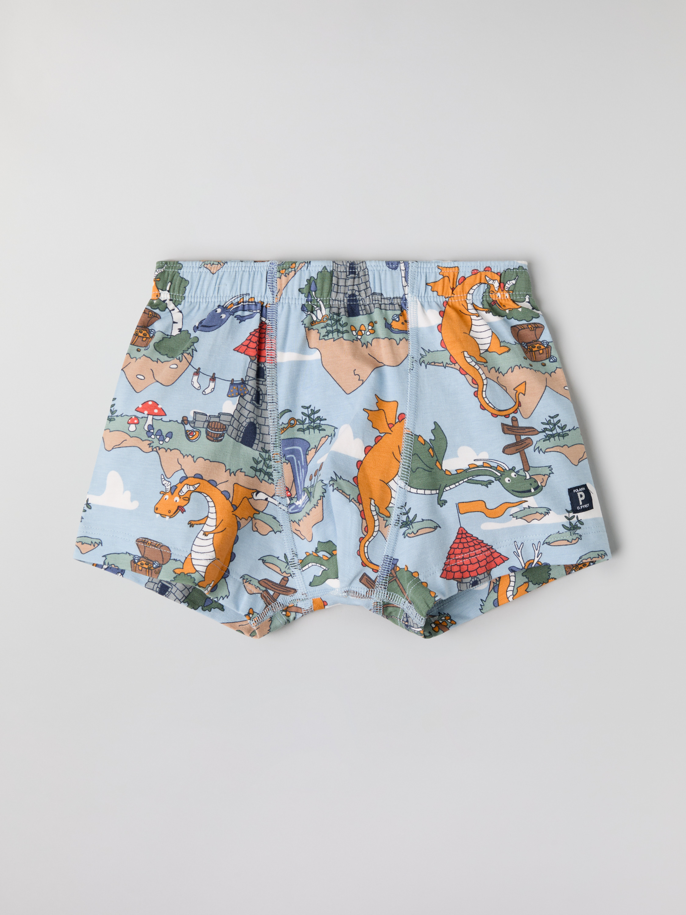 Läs mer om Boxershorts drakar