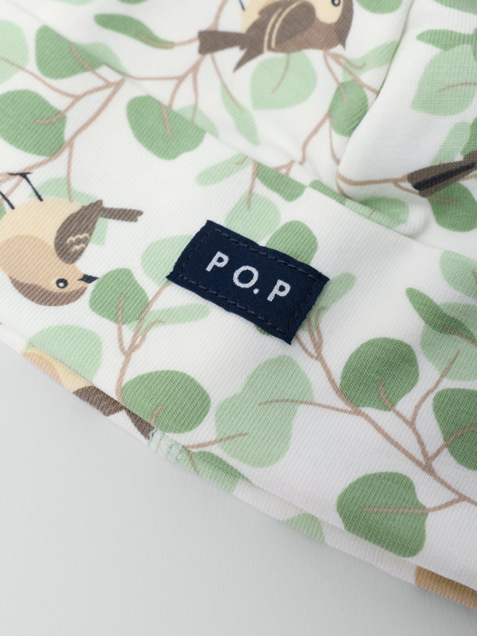 Trikåmössa fåglar