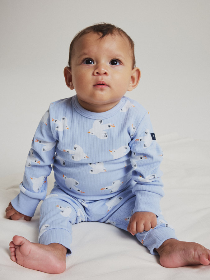 Ribbad body fåglar Ribbad body fåglar