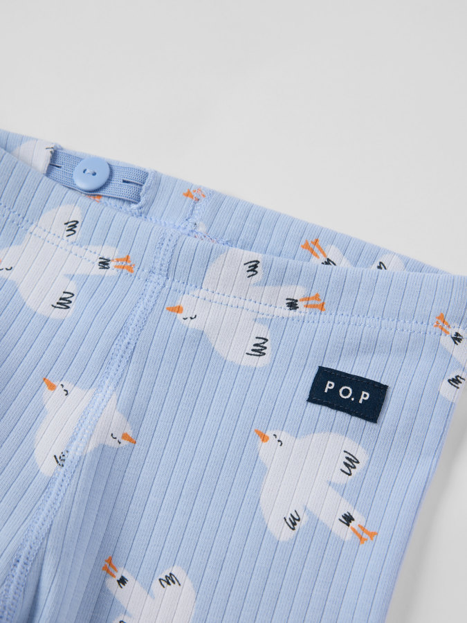 Ribbad byxa fåglar Ribbad byxa fåglar