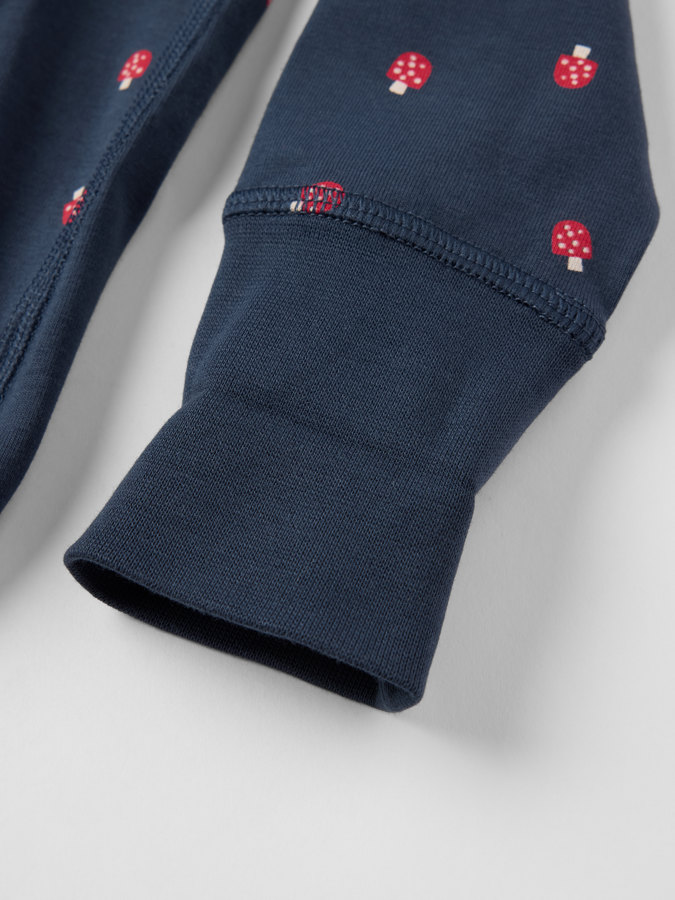 Förlängningsbar omlottbody svampar Förlängningsbar omlottbody svampar