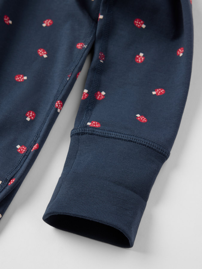 Förlängningsbar body svampar Förlängningsbar body svampar