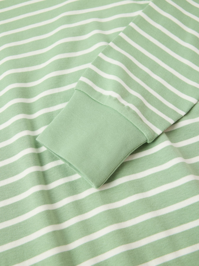 Nattlinne randigt vuxen Nattlinne randigt vuxen