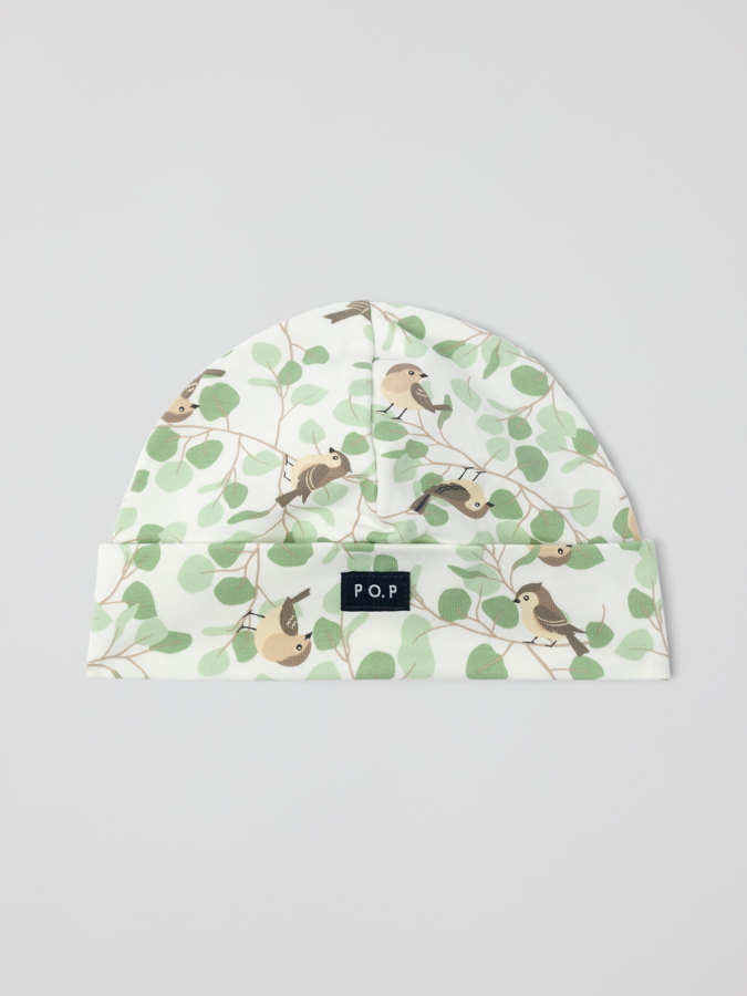 Trikåmössa fåglar Trikåmössa fåglar